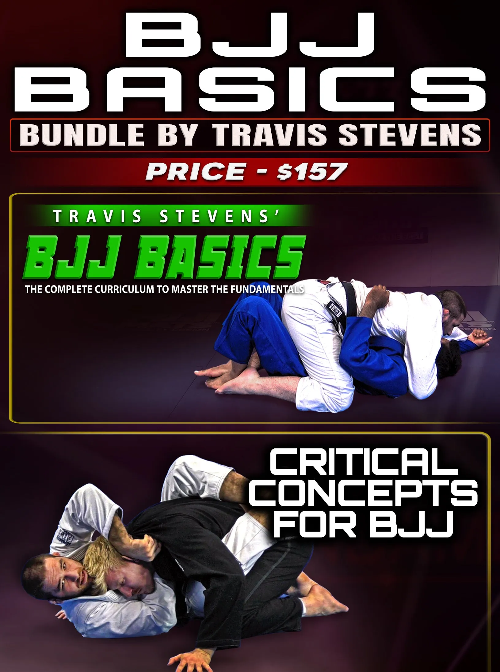 BJJ Basics Bundle by Travis Stevens