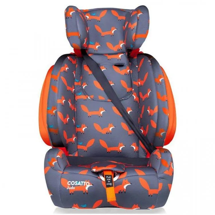 Cosatto Judo Group 123 Car seat - Mister Fox