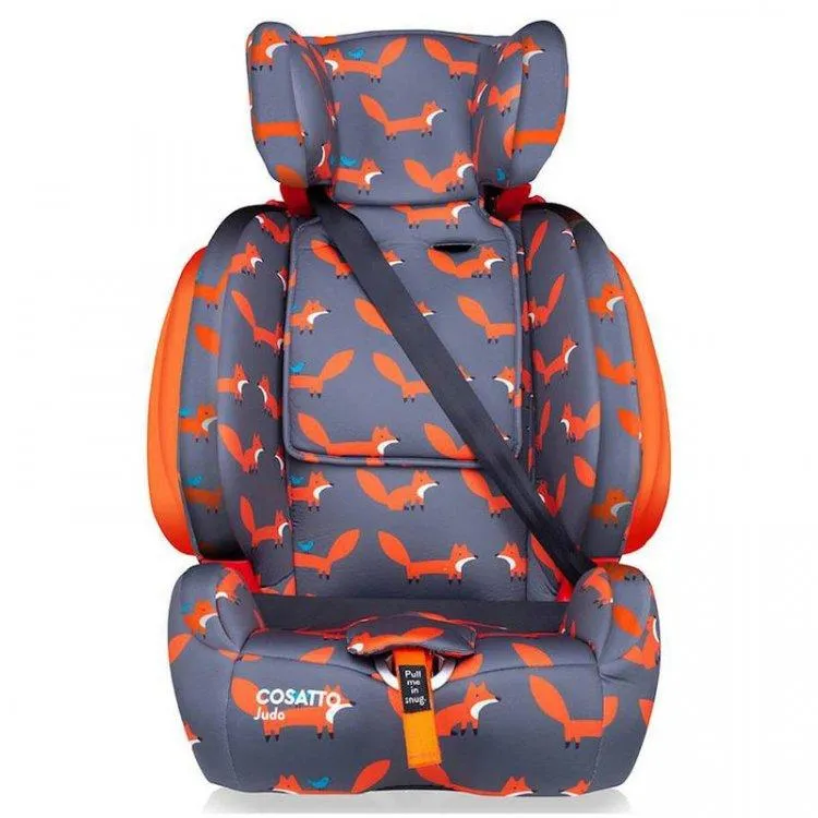 Cosatto Judo Group 123 Car seat - Mister Fox