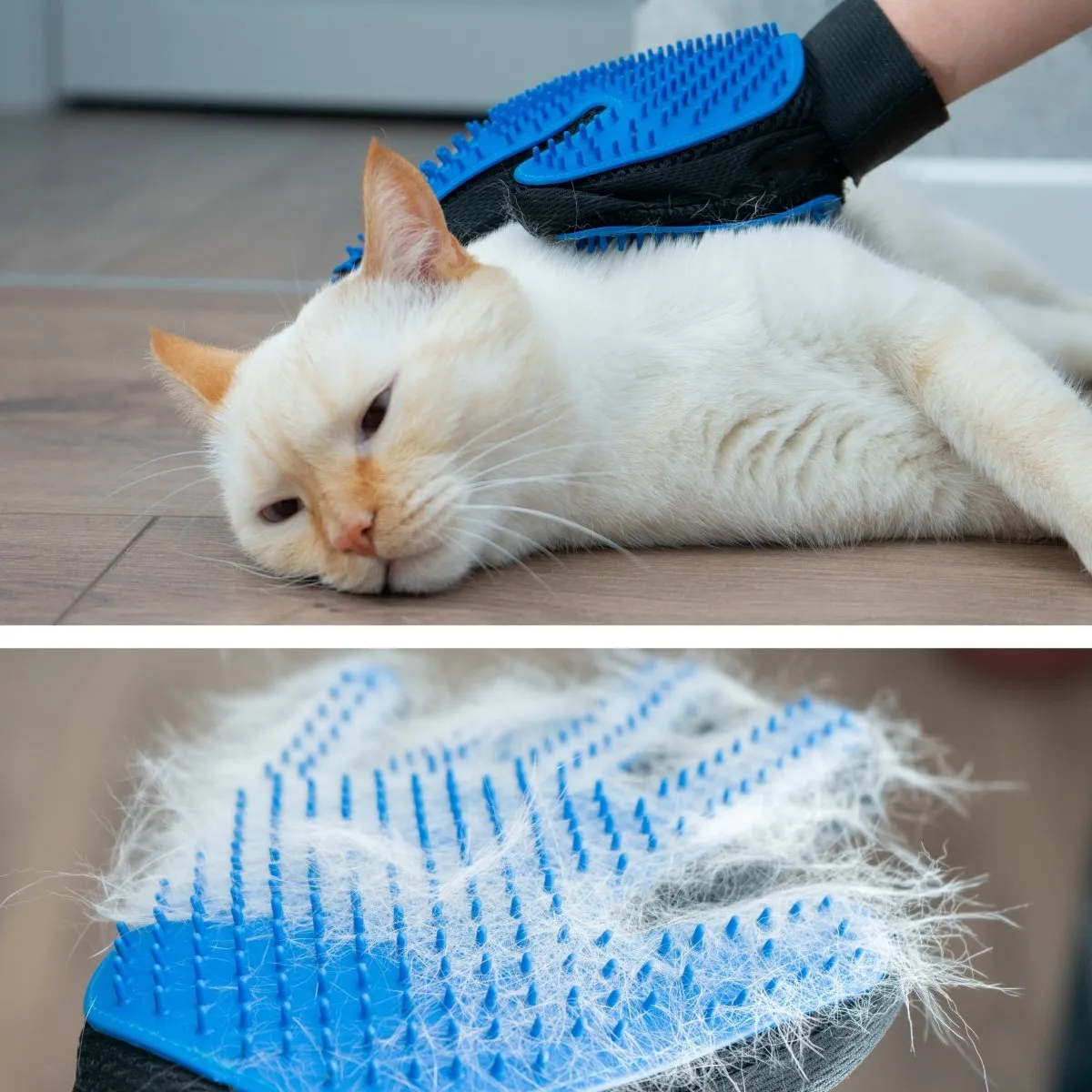 Double-Sided Pet Grooming Glove