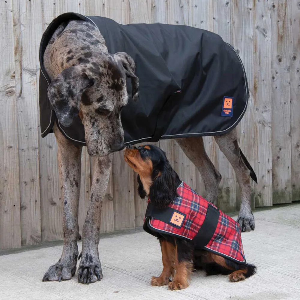 Waterproof Shower Dog Coat with Warm Lining