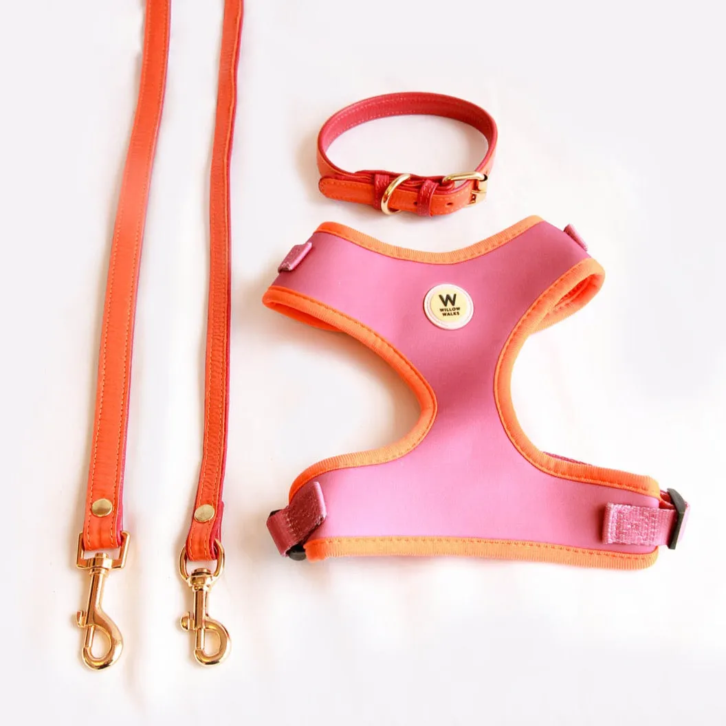 Willow Walks Adjustable Harness in fuchsia and orange