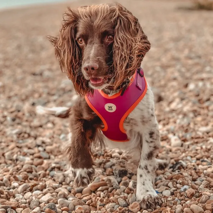 Willow Walks Adjustable Harness in fuchsia and orange