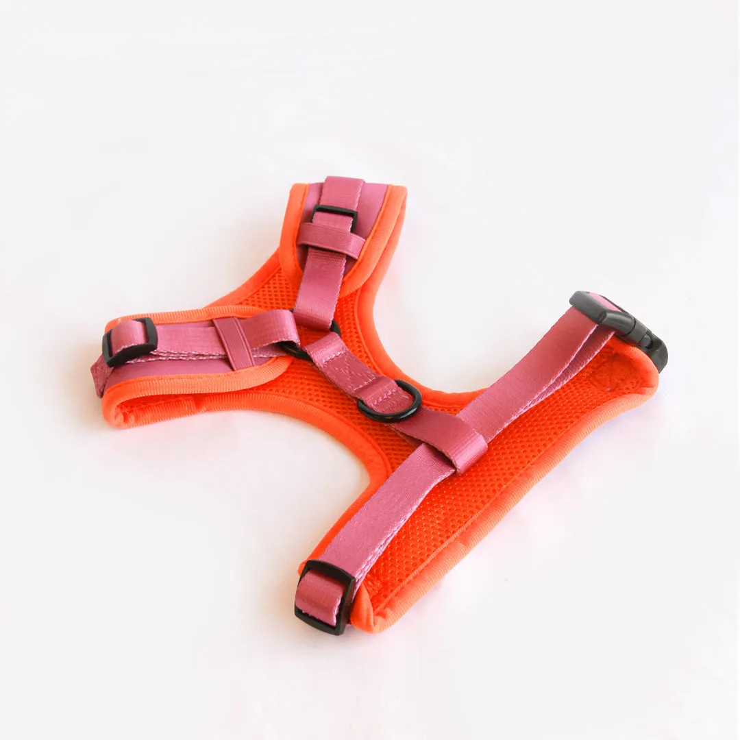 Willow Walks Adjustable Harness in fuchsia and orange