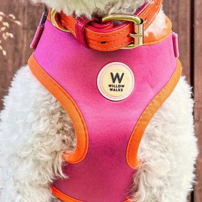 Willow Walks Adjustable Harness in fuchsia and orange