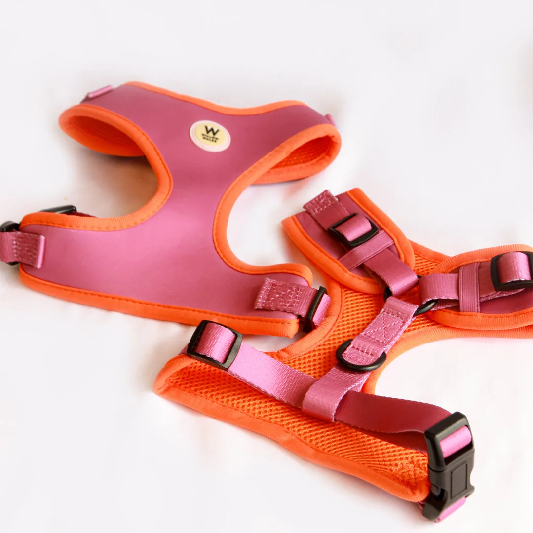 Willow Walks Adjustable Harness in fuchsia and orange